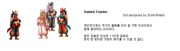 dnf_rabbitfighter.gif
